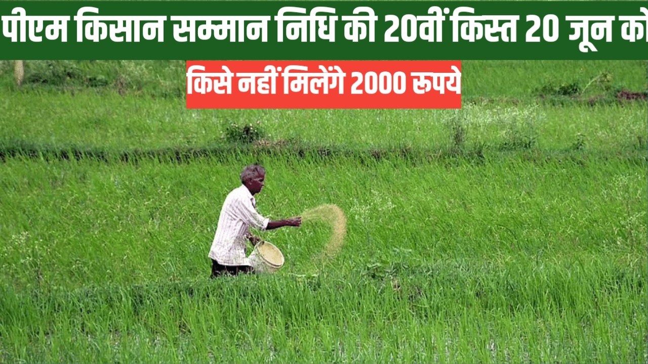 पीएम किसान सम्मान निधि