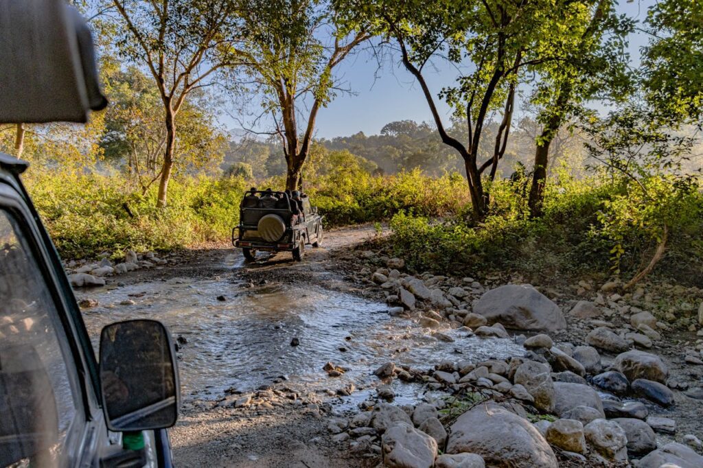 jim corbett national park
